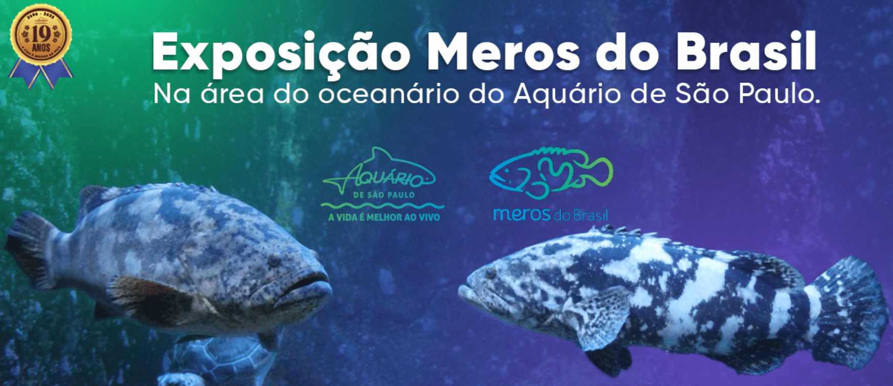 Jurassic Park - Dinossauro T-Rex